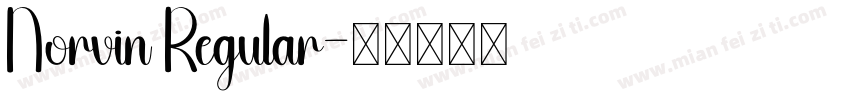 Norvin Regular字体转换